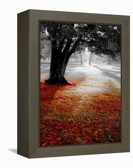 Autumn Leafs-null-Framed Premier Image Canvas