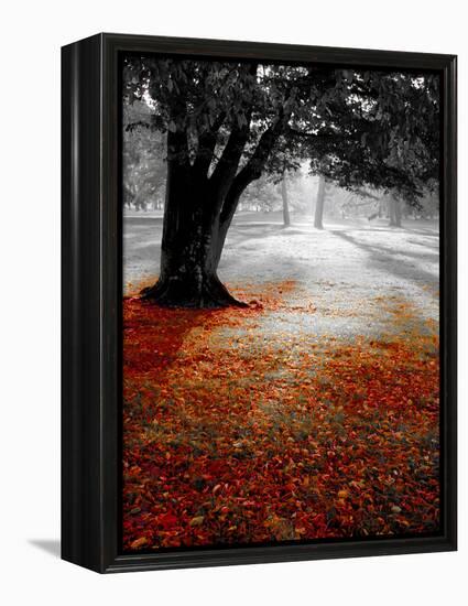 Autumn Leafs-null-Framed Premier Image Canvas