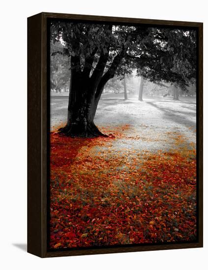 Autumn Leafs-null-Framed Premier Image Canvas