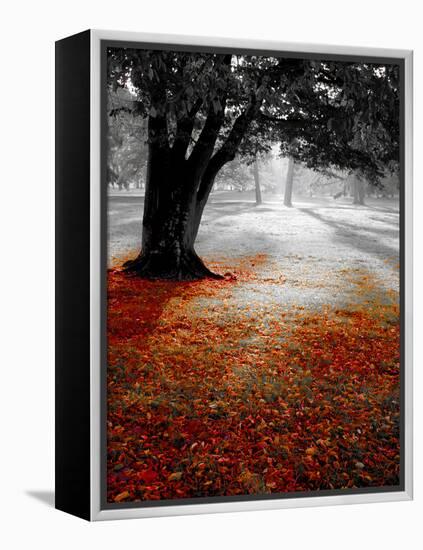 Autumn Leafs-null-Framed Premier Image Canvas