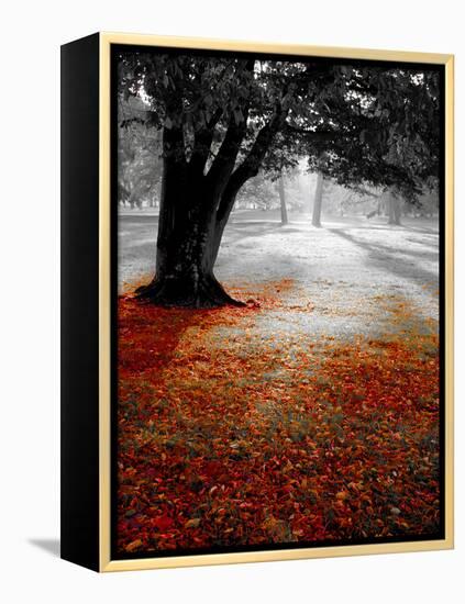 Autumn Leafs-null-Framed Premier Image Canvas