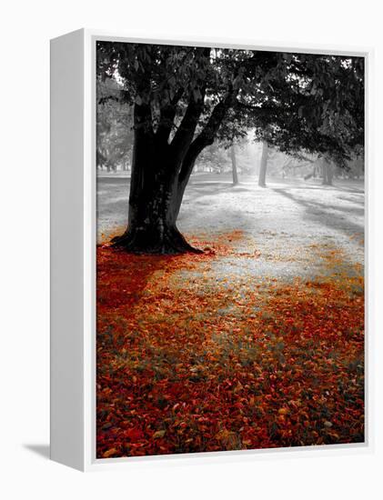 Autumn Leafs-null-Framed Premier Image Canvas