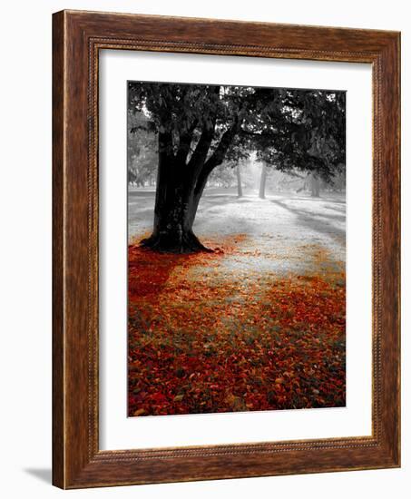 Autumn Leafs-null-Framed Photographic Print