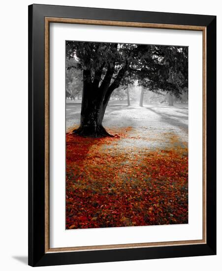 Autumn Leafs-null-Framed Photographic Print