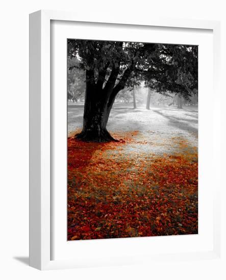Autumn Leafs-null-Framed Photographic Print