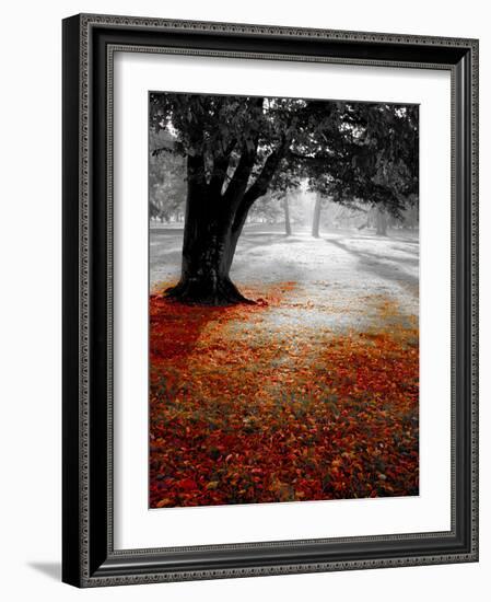 Autumn Leafs-null-Framed Photographic Print