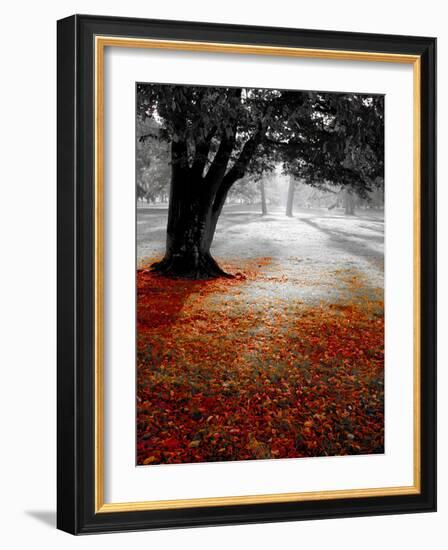 Autumn Leafs-null-Framed Photographic Print