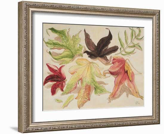 Autumn Leaves, 1993-Carolyn Hubbard-Ford-Framed Giclee Print