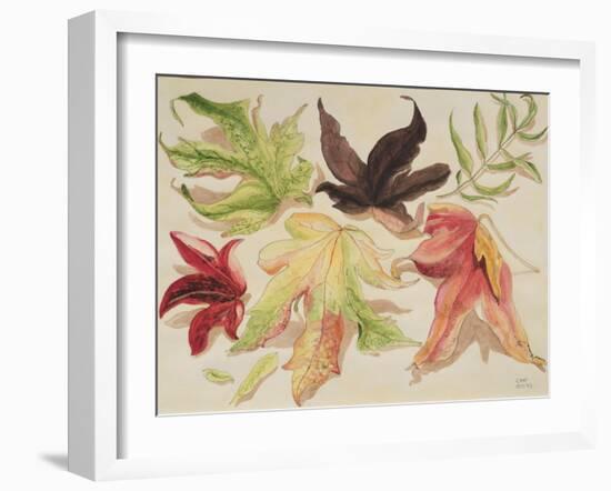 Autumn Leaves, 1993-Carolyn Hubbard-Ford-Framed Giclee Print