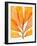 Autumn Leaves 2-THE Studio-Framed Giclee Print