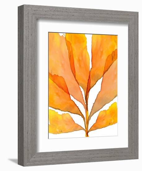 Autumn Leaves 2-THE Studio-Framed Giclee Print