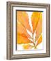 Autumn Leaves 3-THE Studio-Framed Giclee Print