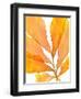 Autumn Leaves 3-THE Studio-Framed Giclee Print