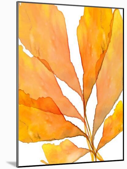 Autumn Leaves 3-THE Studio-Mounted Giclee Print