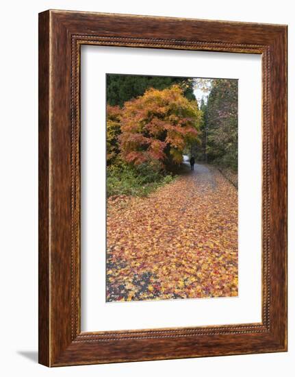 Autumn Leaves Along the Old Nakasendo Highway, Magome, Kiso Valley Nakasendo, Central Honshu, Japan-Stuart Black-Framed Photographic Print