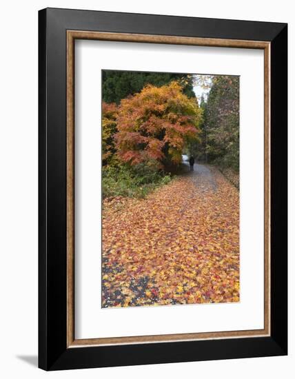 Autumn Leaves Along the Old Nakasendo Highway, Magome, Kiso Valley Nakasendo, Central Honshu, Japan-Stuart Black-Framed Photographic Print