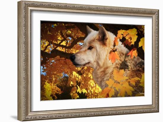 Autumn Leaves and Wolf-Gordon Semmens-Framed Photographic Print