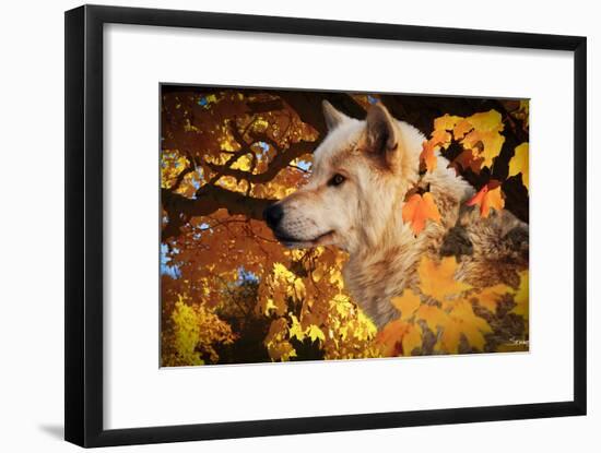 Autumn Leaves and Wolf-Gordon Semmens-Framed Photographic Print