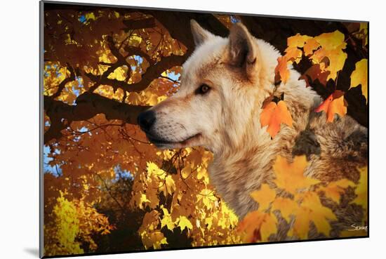 Autumn Leaves and Wolf-Gordon Semmens-Mounted Photographic Print