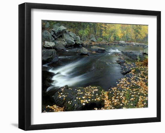 Autumn Leaves at Packers Falls on the Lamprey River, New Hampshire, USA-Jerry & Marcy Monkman-Framed Photographic Print