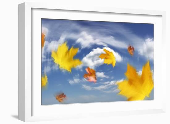 Autumn Leaves Blowing In the Wind-Tony Craddock-Framed Photographic Print