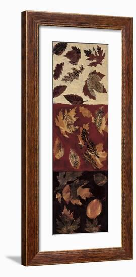 Autumn Leaves I-Gail Altschuler-Framed Giclee Print