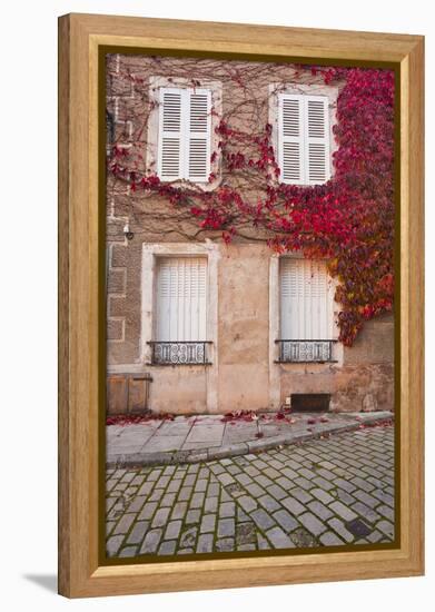 Autumn Leaves in Noyers-Sur-Serein-Julian Elliott-Framed Premier Image Canvas