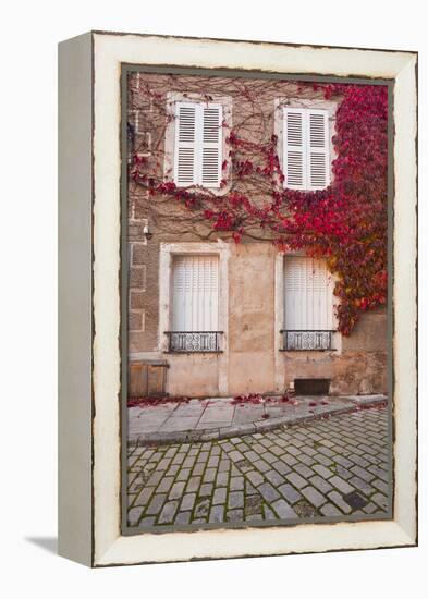 Autumn Leaves in Noyers-Sur-Serein-Julian Elliott-Framed Premier Image Canvas