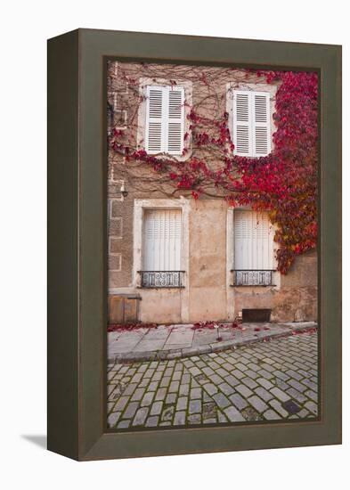 Autumn Leaves in Noyers-Sur-Serein-Julian Elliott-Framed Premier Image Canvas