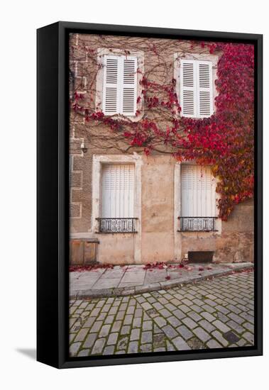 Autumn Leaves in Noyers-Sur-Serein-Julian Elliott-Framed Premier Image Canvas