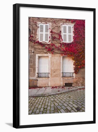 Autumn Leaves in Noyers-Sur-Serein-Julian Elliott-Framed Photographic Print