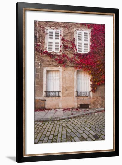 Autumn Leaves in Noyers-Sur-Serein-Julian Elliott-Framed Photographic Print