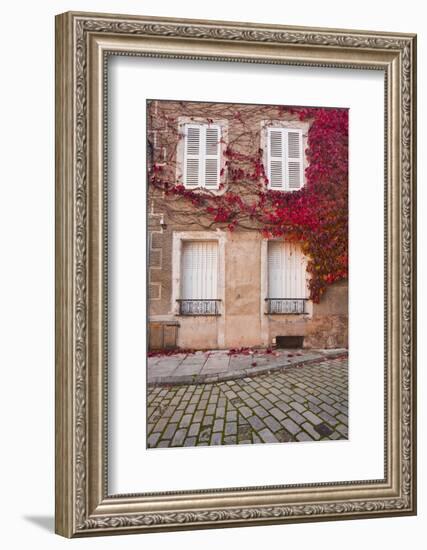 Autumn Leaves in Noyers-Sur-Serein-Julian Elliott-Framed Photographic Print