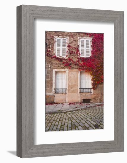 Autumn Leaves in Noyers-Sur-Serein-Julian Elliott-Framed Photographic Print