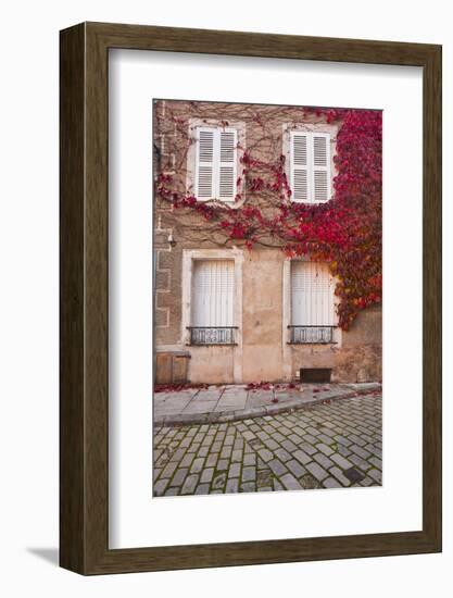 Autumn Leaves in Noyers-Sur-Serein-Julian Elliott-Framed Photographic Print