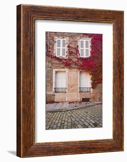 Autumn Leaves in Noyers-Sur-Serein-Julian Elliott-Framed Photographic Print