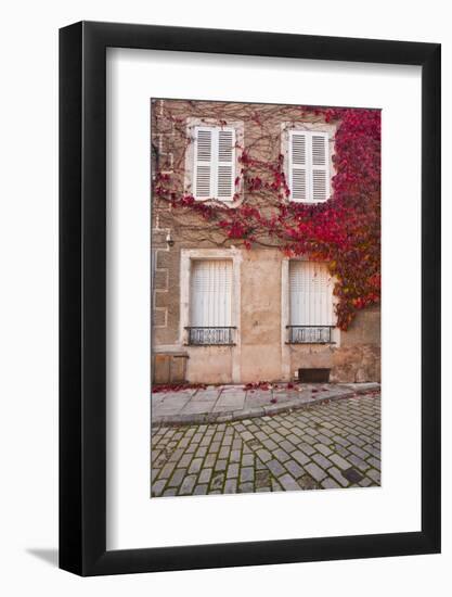 Autumn Leaves in Noyers-Sur-Serein-Julian Elliott-Framed Photographic Print