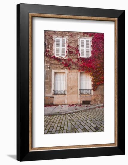 Autumn Leaves in Noyers-Sur-Serein-Julian Elliott-Framed Photographic Print