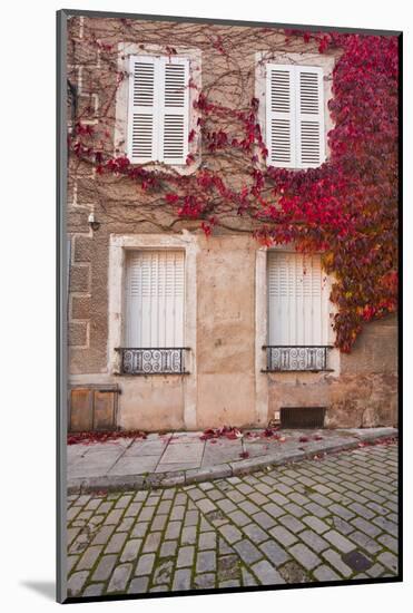 Autumn Leaves in Noyers-Sur-Serein-Julian Elliott-Mounted Photographic Print