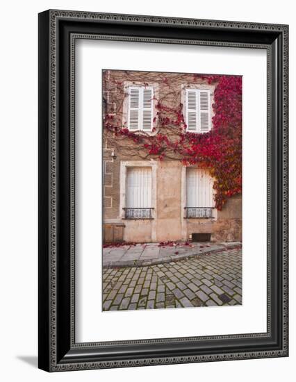 Autumn Leaves in Noyers-Sur-Serein-Julian Elliott-Framed Photographic Print