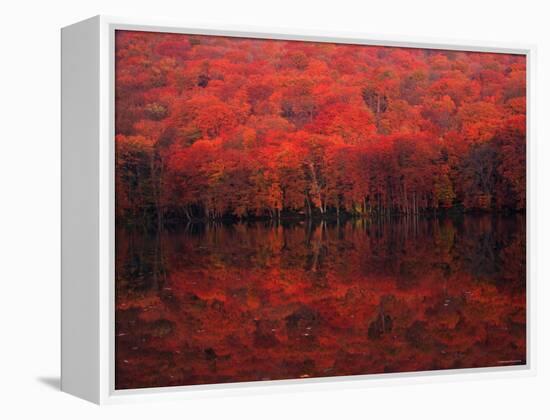 Autumn Leaves in Tutanuma-null-Framed Premier Image Canvas