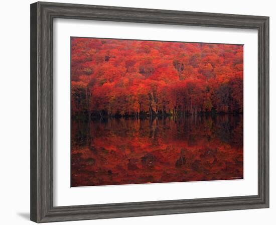 Autumn Leaves in Tutanuma-null-Framed Photographic Print