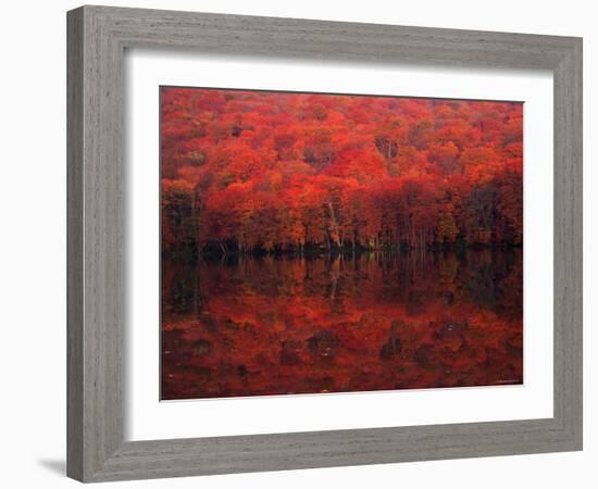 Autumn Leaves in Tutanuma-null-Framed Photographic Print