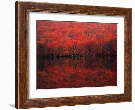 Autumn Leaves in Tutanuma-null-Framed Photographic Print