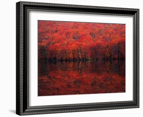 Autumn Leaves in Tutanuma-null-Framed Photographic Print