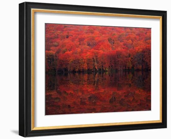 Autumn Leaves in Tutanuma-null-Framed Photographic Print