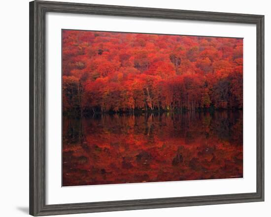 Autumn Leaves in Tutanuma-null-Framed Photographic Print