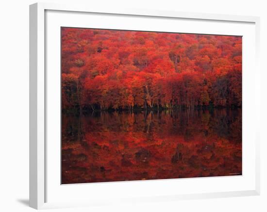 Autumn Leaves in Tutanuma-null-Framed Photographic Print