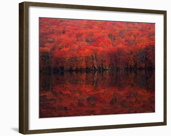 Autumn Leaves in Tutanuma-null-Framed Photographic Print