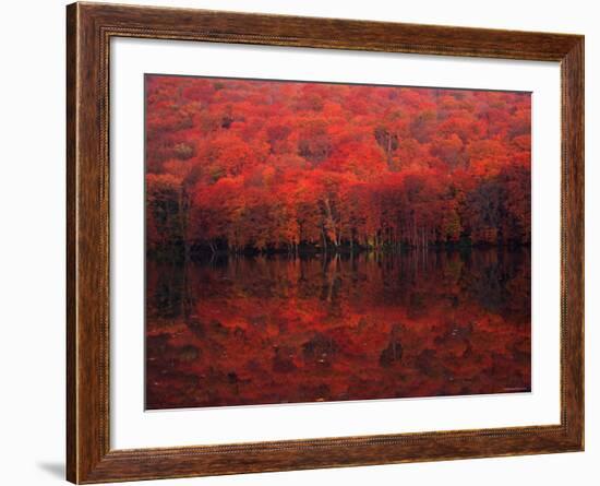 Autumn Leaves in Tutanuma-null-Framed Photographic Print